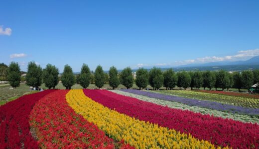 【2023年9月】秋の北海道　旭川・富良野周辺ぶらりの旅その2　「ふらの・びえいフリーきっぷ」を使い、フラノラベンダーエクスプレスで旭川・富良野へ。